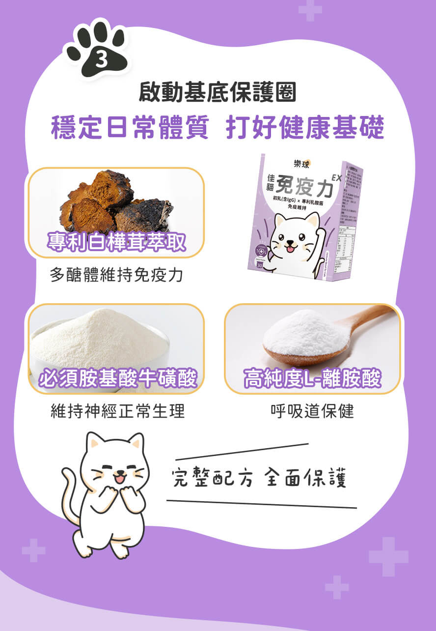 白樺茸、離胺酸與牛磺酸，穩定體質，打好犬貓健康基底。